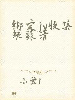 绑定jy收集系统苏清封面