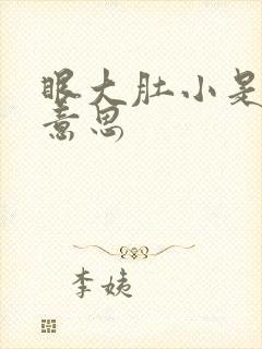 眼大肚小是什么意思封面