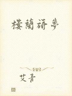 楼兰旖梦封面