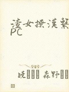 渣女撩汉系统NPC