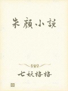 朱颜小说封面