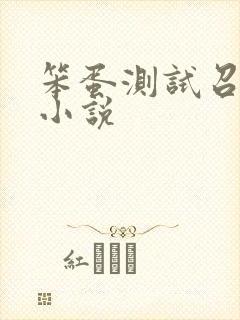 笨蛋测试召唤兽小说