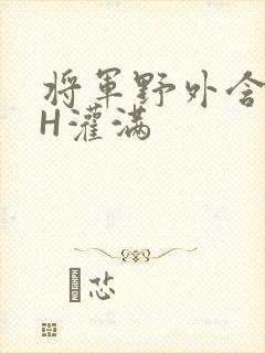 将军野外含公主H灌满封面