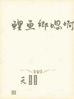 鲤鱼乡嗯啊封面