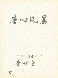 唐心风暴封面