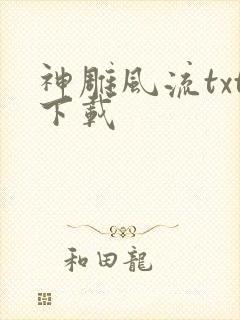 神雕风流txt下载封面