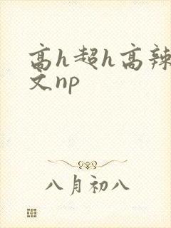 高h超h高辣h文np