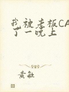 我被老板CAO了一晚上
