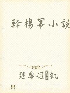 干杨幂小说