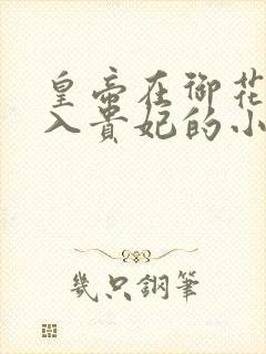 皇帝在御花园进入贵妃的小说