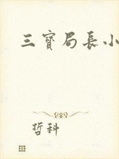 三宝局长小说
