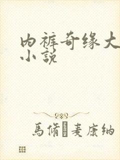 内裤奇缘大团结小说封面
