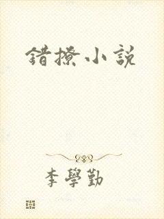 错撩小说