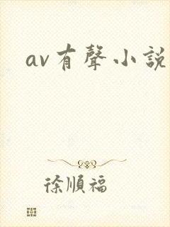 av有声小说