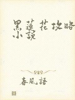 黑莲花攻略手册小说