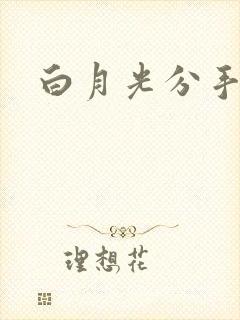 白月光分手日常
