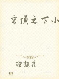 穹顶之下小说