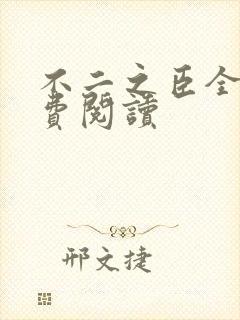 不二之臣全文免费阅读封面