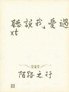 听说我爱过你txt