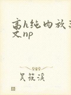 高h纯肉放荡h文np