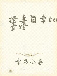 撩妻日常txt青灯