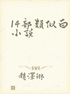 14部类似白洁小说封面