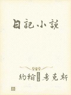 日记小说封面