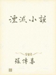湮灭小说