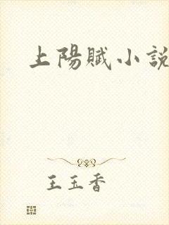 上阳赋小说