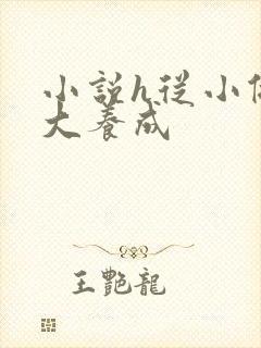 小说h从小做到大养成