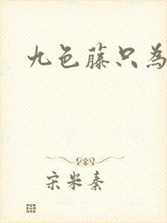 九色藤只为高清封面