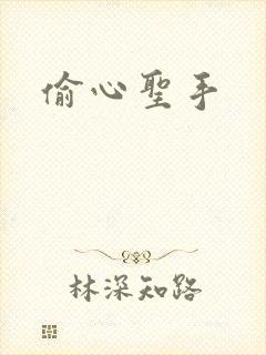 偷心圣手
