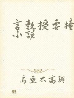 言教授要撞坏了小说