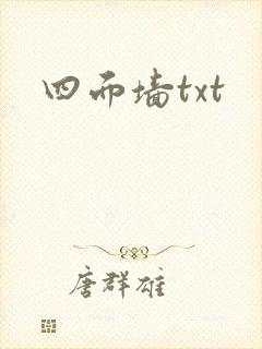 四面墙txt