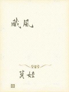 藏风封面