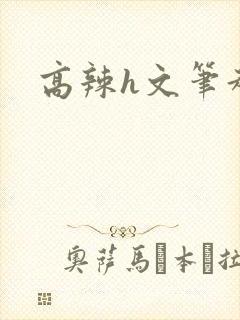 高辣h文笔趣阁