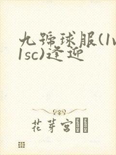九号球服(1v1sc)逢迎