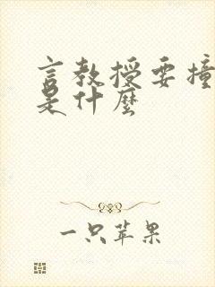 言教授要撞坏了是什么