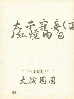 太子宠妾(高肉)红烧肉包封面