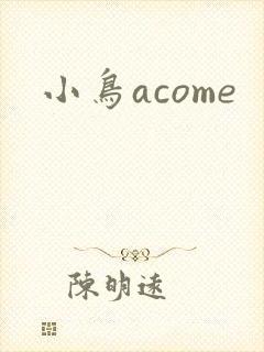 小鸟acome封面