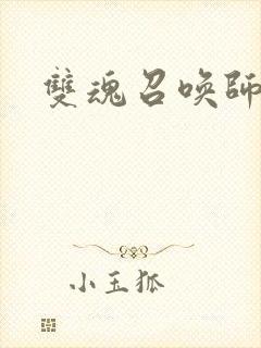 双魂召唤师