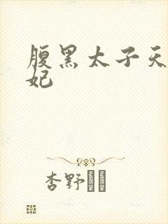 腹黑太子天降萌妃