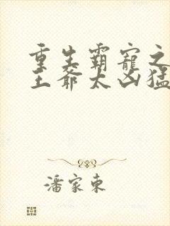重生霸宠之摄政王爷太凶猛封面