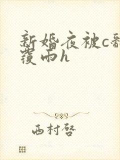 新婚夜被c翻云覆雨h封面