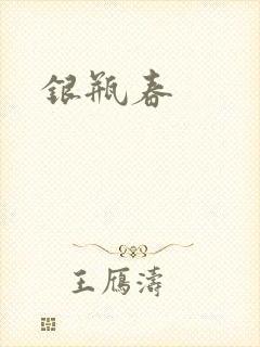银瓶春封面