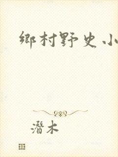 乡村野史小说