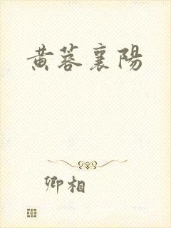 黄蓉襄阳