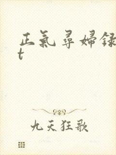 正气寻妇录txt