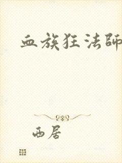 血族狂法师封面