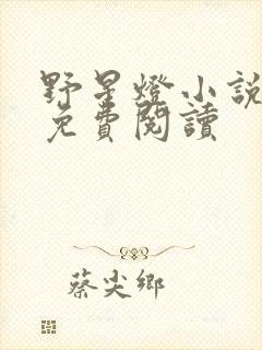 野星灯小说全文免费阅读封面
